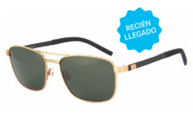 Gafa Sol Classic Unisex